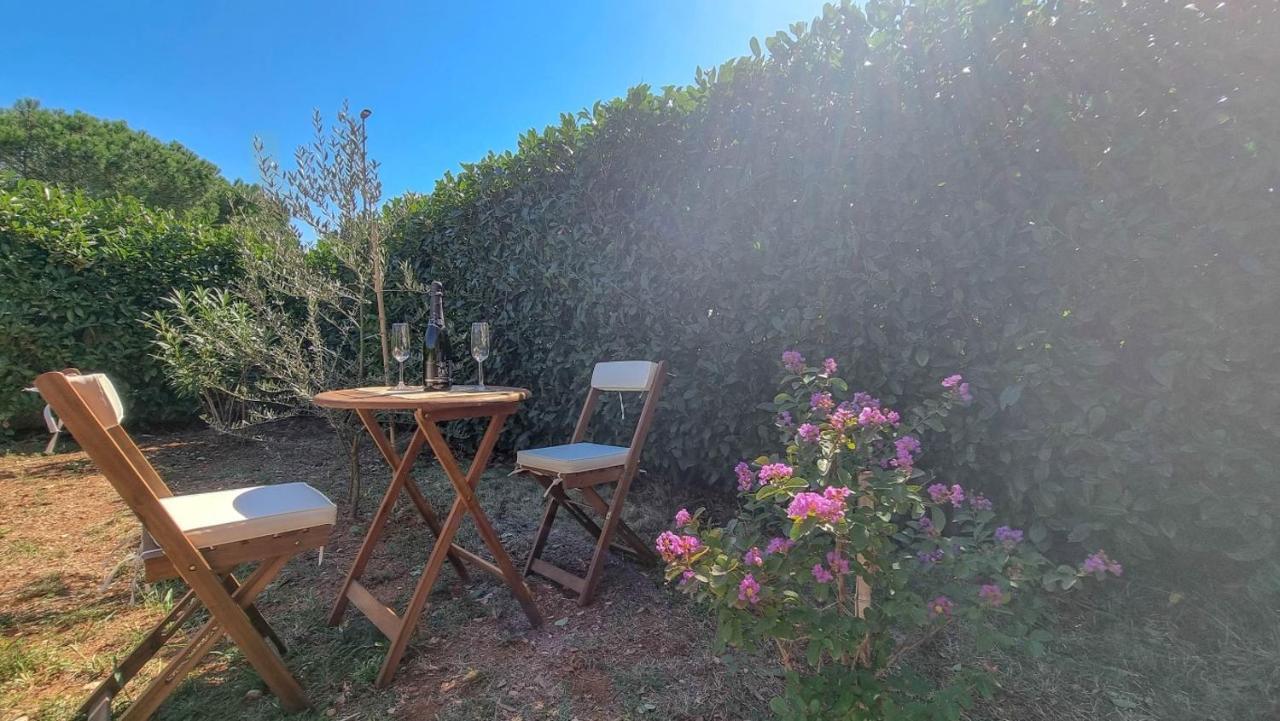 דירות Novigrad Istria Lea מראה חיצוני תמונה